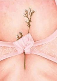 多么甜的苹果英语