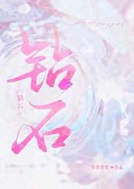 钻石np全文免费阅读笔趣阁