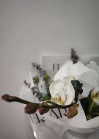 我的未婚妻欲求不满全文