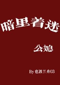 暗里着迷公媳也渡兰舟