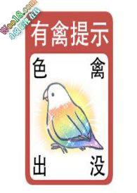 各种女孩子贴贴(abo+futa注意) 作者清风