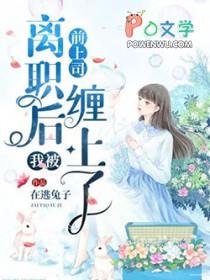 离职后我被前上司缠了结局