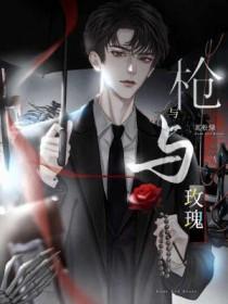 枪与玫瑰的歌曲