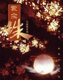 雮珠蒙尘