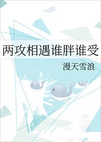 两攻相遇谁胖谁受by