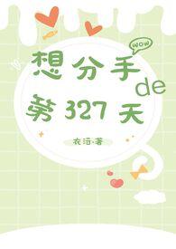 分手的33天