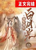 他的白月光佚名