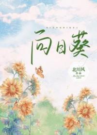 向日葵等4家公司发布重大消息