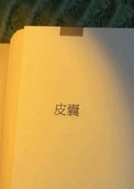 皮囊全集在线阅读