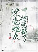 漂亮炮灰笔趣