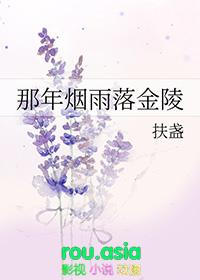 那年烟雨落金陵讲了什么故事