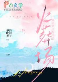 一篇追妻火葬场文婴宁