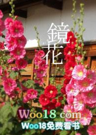 镜花免费阅读