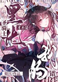 黑化圣骑士 剧透