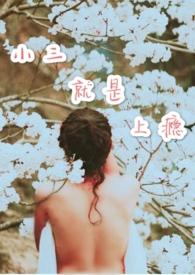 小三就是上瘾记免费阅读