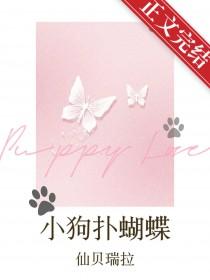 小狗扑蝴蝶免费阅读全文