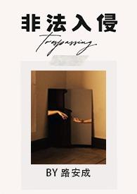 非法入侵是什么意思