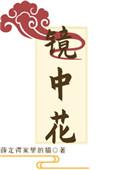 镜中花水中月是什么意思