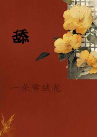 怎么介绍模型