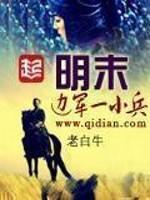 明末边军一小兵书评