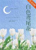 白色鸢尾花旗帜