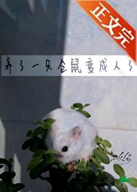 仓鼠能变成老鼠吗