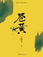 苍黄反复造句