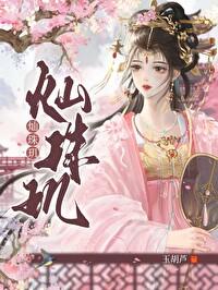 灿珠玑全本TXT