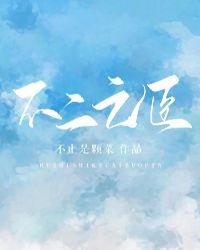 不二之臣谁演