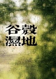谷壳价格