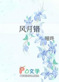 风月错歌词胡碧乔
