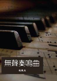 无声奏鸣曲海棠书屋