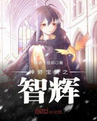 神奇宝贝之智辉免费全集阅读