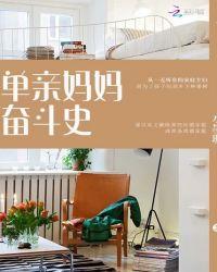 单亲妈妈奋斗记全集