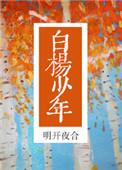 白杨少年 番外
