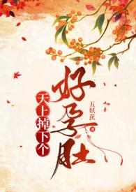 天上掉下个好孕肚(慢穿)全文阅读