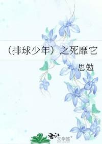 排球少年mikasa
