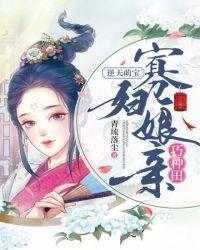 寡妇种田养包子免费阅读