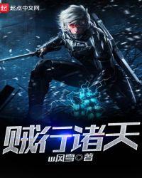 诸天山贼系统