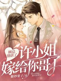 许小姐嫁给你哥了我的心