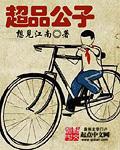 超品公子免费阅读