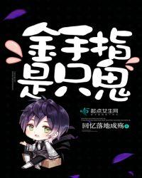 金手指的游戏怎么玩?