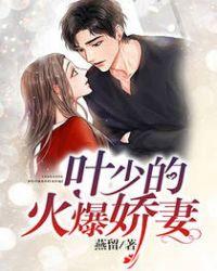 叶少撩妻上瘾全文阅读