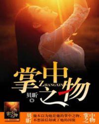 掌中之物原著