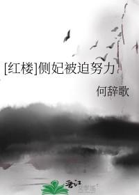 侧妃宠妾
