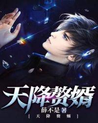 天降赘婿简介