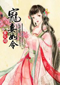 宠妻如令 雾矢翊讲的什么