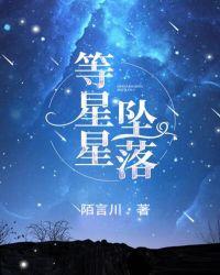 等星星坠落介绍