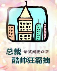 总裁酷帅狂霸拽简介