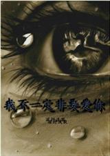 歌词 我不是一定要你回来